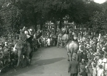 Elephant Rides, med tre asiatiska elefanter som tittade på av massor av åskådare på London Zoo i augusti 1926 (s/v foto)