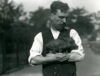 Keeper Harry Warwick vaggar ett vårtsvinsbarn i famnen på London Zoo, augusti 1922