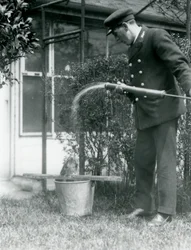 Keeper Thomas Raggett ger en Tawny Frogmouth en dusch, London Zoo, 1924