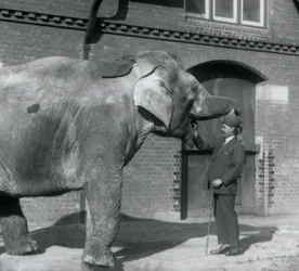 Syed Ali tränar indiarani framför Elephant House, London Zoo, oktober 1925