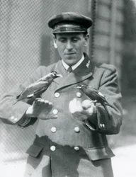 Två Myna-fåglar i händerna på målvakten Thomas Raggett, London Zoo, juni 1924