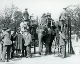 Besökare köar för en elefanttur medan andra kliver upp med hjälp av fem djurskötare, London Zoo, 1927