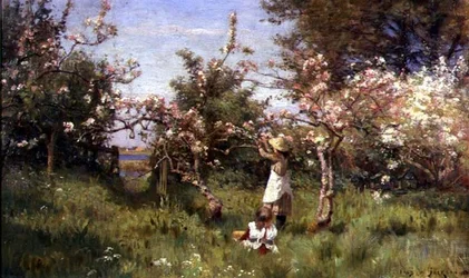 Samling Blossom