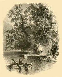 "North Branch of the Susquehanna, at Hunlocks", 1874.