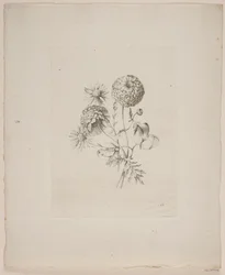 Blommotiv
