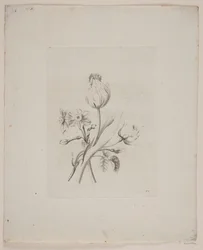 Blommotiv