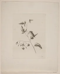 Blommotiv