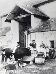 Bönder runt en brunn, på en bondgård, ca 1860-70 (s/v foto)