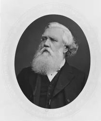 Porträtt av Henry Layard, ca 1880