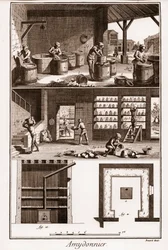 AMDONIER - Amydonnier - "" The Great Encyclopedia, eller Dictionnaire Raisonne des Sciences, des Arts et des Metiers" (Encyclopedia or Dictionary of the Sciences, Arts and Professions) av Denis Diderot (1713-1784) och Jean d