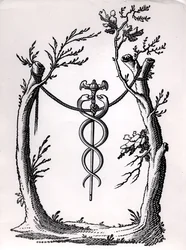 I Caduceus