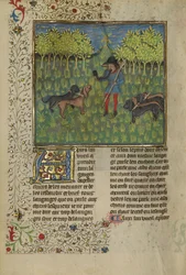 En jägare tränar hundar för att svara på ett horns kall, ca 1430-40 (tempera, guld- och silverfärg och bladguld på pergament)