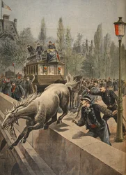 En häst som begår självmord, illustration ur Le Petit Journal: Supplement illustré, 1898
