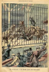 En tämjare blir uppslukt av sina lejon i ett menageri i Dessau, Tyskland. Gravyr i "" Le Petite Parisien"", den 27/12/1903.
