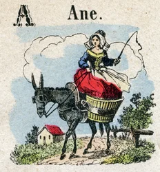 Abecedary. Bokstaven A som åsnan. Litet encyklopediskt alfabet, populär serie. Epinal avbildning, sent 1800-tal