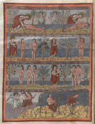 Lägg till. 10546, f.5v Skapelsen av Adam och Eva (vellum)