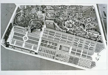 Flygfoto av planen för Jardin des Plantes i Paris, 1842