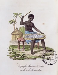Afrikansk kvinna som slår bomull