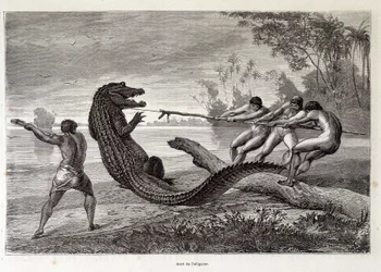Alligator Hunt, Brasilien, "" Round the World"" 2:a veckan 1874.