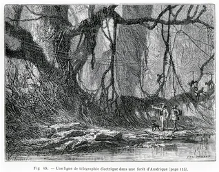 En elektrisk telegraflinje i en amerikansk skog, ca 1870 (gravyr)
