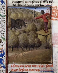 Boar Bow Hunting - i "" Jaktbok av Gaston Phoebus, greve av Foix, Lord of Béarn""