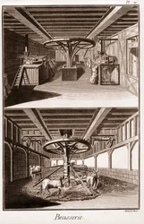 Brasserie - "The Grande Encyclopedia, eller Dictionnaire Raisonne des Sciences, des Arts et des Metiers" (Encyclopedia or Dictionary of the Sciences, Arts and Professions) av Denis Diderot (1713-1784) och Jean d