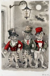 Katter i situation - vykort tidigt 1900-tal.