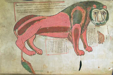Torsk. Gulf. 1 Gud. lat. (37v), Lejonet och grisen, från Liber Floridus av Lambert de Saint-Omer c.1120