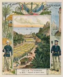 Omslag till en skolövningsbok som visar en sockerrörsplantage i Guadeloupe, 1892