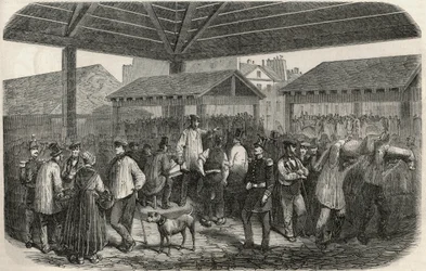 Skapar slaktarkött på marknaden i rue des Prouvaires i 1:a arrondissementet i Paris - Gravyr i "Tableau-de-Paris"" av Edmond Texier 1852
