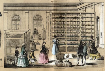 Beskrivning av kultur och silkesprodukter: i centrum magneriet med de olika stadierna av serikulturen. Tallrik "" la soie"" i "" les Recreations instructives"" Synoptisk målning av Jules DELBRUCK, gravyr från 1860. Privat samling.