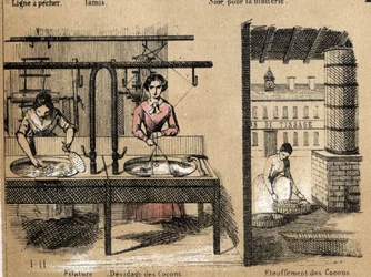Beskrivning av grödan och silkesprodukterna: arbetare som spinner silke, tar bort eller kväver kokonger. Tallrik "" la soie"" i "" les Recreations instructives"" Synoptisk målning av Jules DELBRUCK, gravyr från 1860. Privat samling.