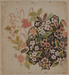 Designritning, tidigt 1700-tal