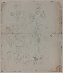 Designritning, sent 1700-tal