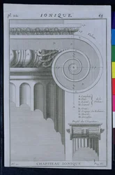 Design för huvudstaden i en jonkolonn