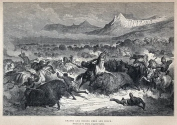 Upptäckte Kanada: Sioux-bisonjakt. Teckning av Gustave Dore efter Catlin. Gravyr från slutet av 1800-talet i "La nouvelle France" av Eugene Guenin.