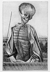 Doctor Death, från en bok med timmar, illustration från vetenskap och litteratur under medeltiden och renässansen, skriven och graverad av Paul Lacroix, 1878
