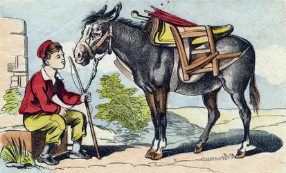 Åsna. Gravyr i "Buffon Alphabet des Animaux". 3:e serien N 1. Avbildning av Epinal, Epinal, sent 1800-tal. 16 sidor. Mått: 28x21cm
