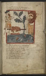 Egerton MS 3028 f.49r från 