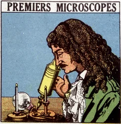 Första mikroskopen: Huygens.