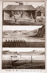 Fiske, sill och sardiner - Peches de Mer - Sorretterie des herring et des sardines - "" La Grande Encyclopédie, ou Dictionnaire Raisonne des Sciences, des Arts et des Metiers"" (Encyclopedia or Dictionary of the Sciences, Arts and Professions) av Deni