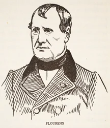 Mjölmjöl