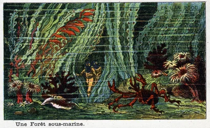 Futuredays: A Nineteenth Century Vision of the Year 2000 - Serie "" En l