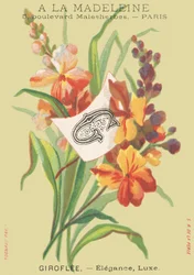 G: Girofle - Elegans, Lyx