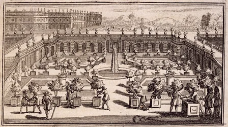 Trädgårdsmästare som arbetar i en apelsinträdgård, från Le Parfait Jardinier, eller Instruction pour les Jardins Fruitiers et Potager, av Jean de la Quintinye, publicerad 1695