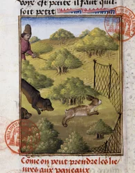 Hare Hunting - i "" Hunting Book of Gaston Phoebus, Count of Foix, Lord of Béarn""