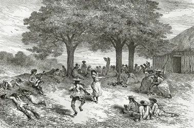 Harvest of Coca, Peru, illustration från Le Tour du Monde magazine, 1877