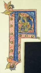 Historikert initial P som visar en bevingad griffin
