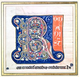 Historikert initial "R" som visar ett sammanflätningsmönster med fantastiska djur, från Bibeln från Saint-Andre aux-Bois