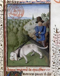 Jakthund som hålls i ett härligt koppel - i "" Jaktbok av Gaston Phoebus, greve av Foix, Lord of Béarn""